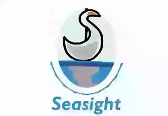Seasight History